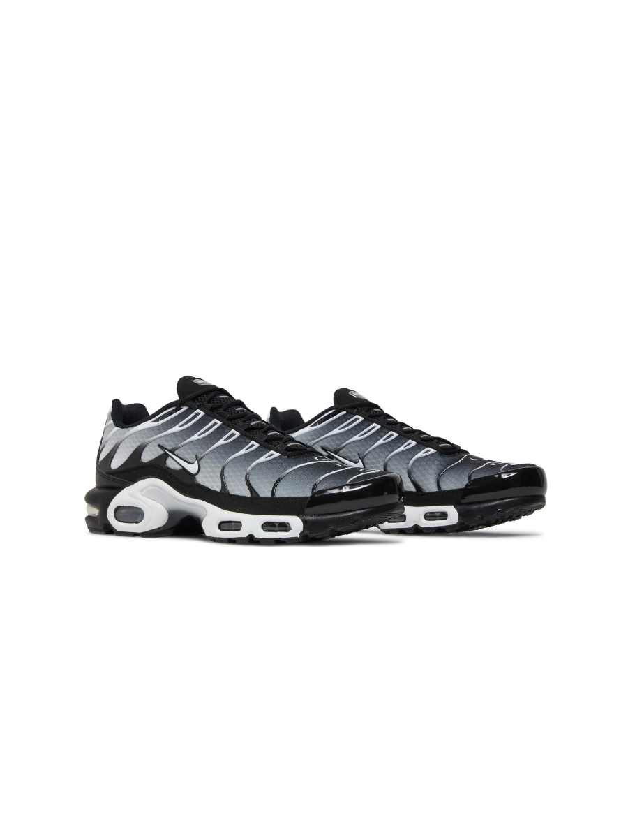 Картинка Кроссовки Nike Air Max Plus Black Metallic Silver