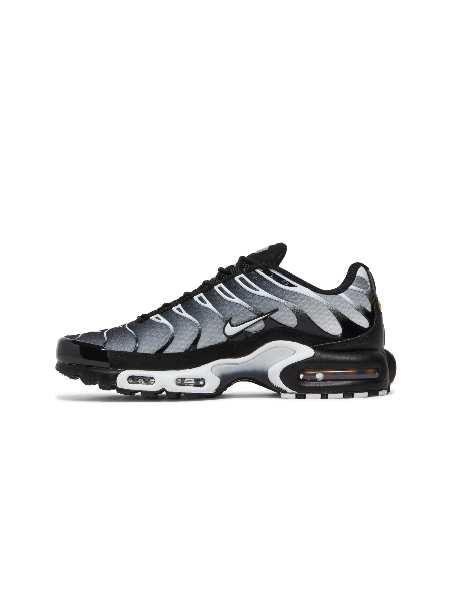 Картинка Кроссовки Nike Air Max Plus Black Metallic Silver