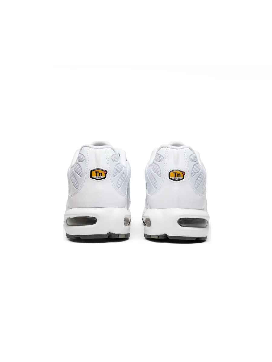 Картинка Кроссовки Nike Air Max Plus White Pure Platinum 