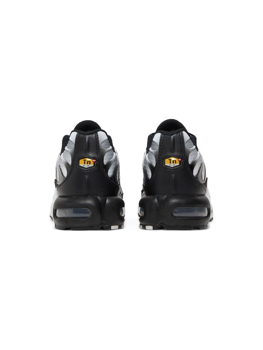 Картинка Кроссовки Nike Air Max Plus Black Metallic Silver