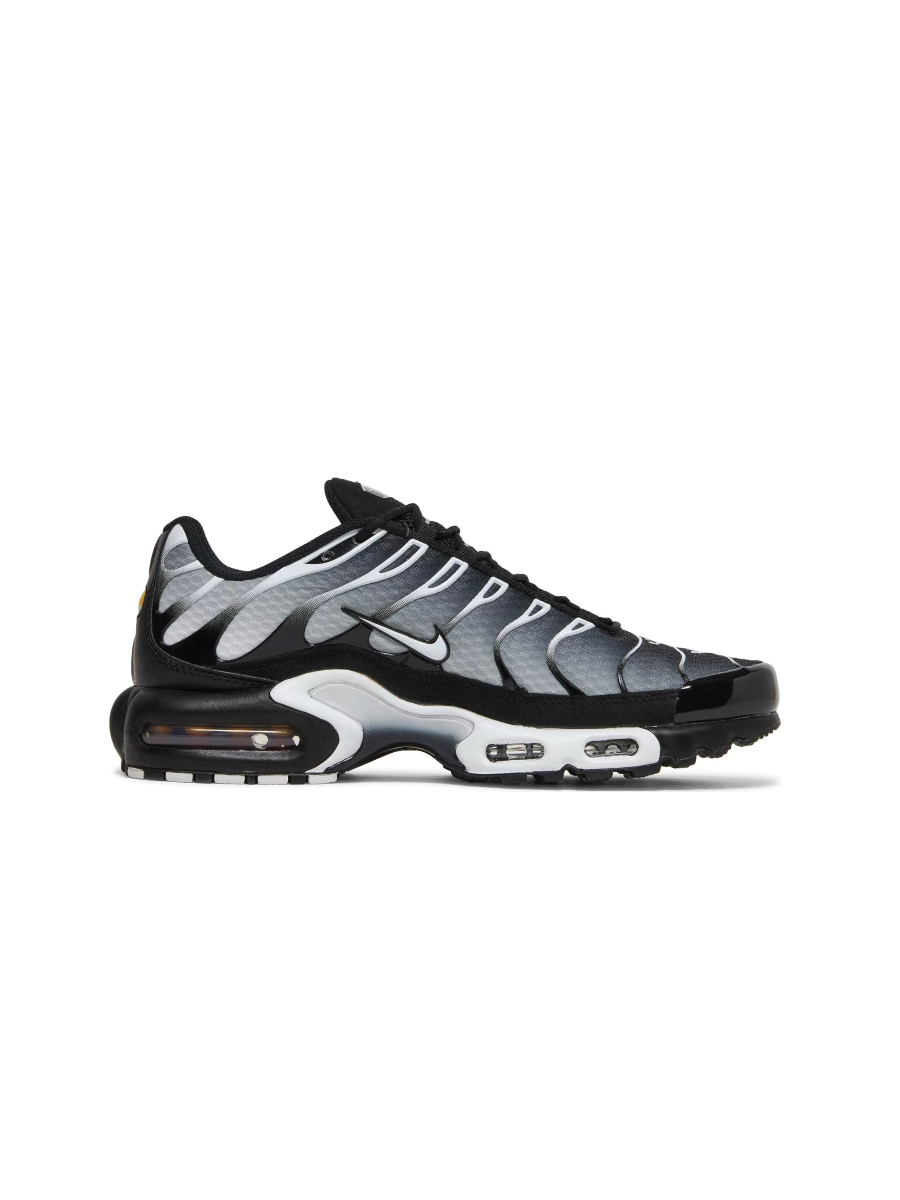 Картинка Кроссовки Nike Air Max Plus Black Metallic Silver